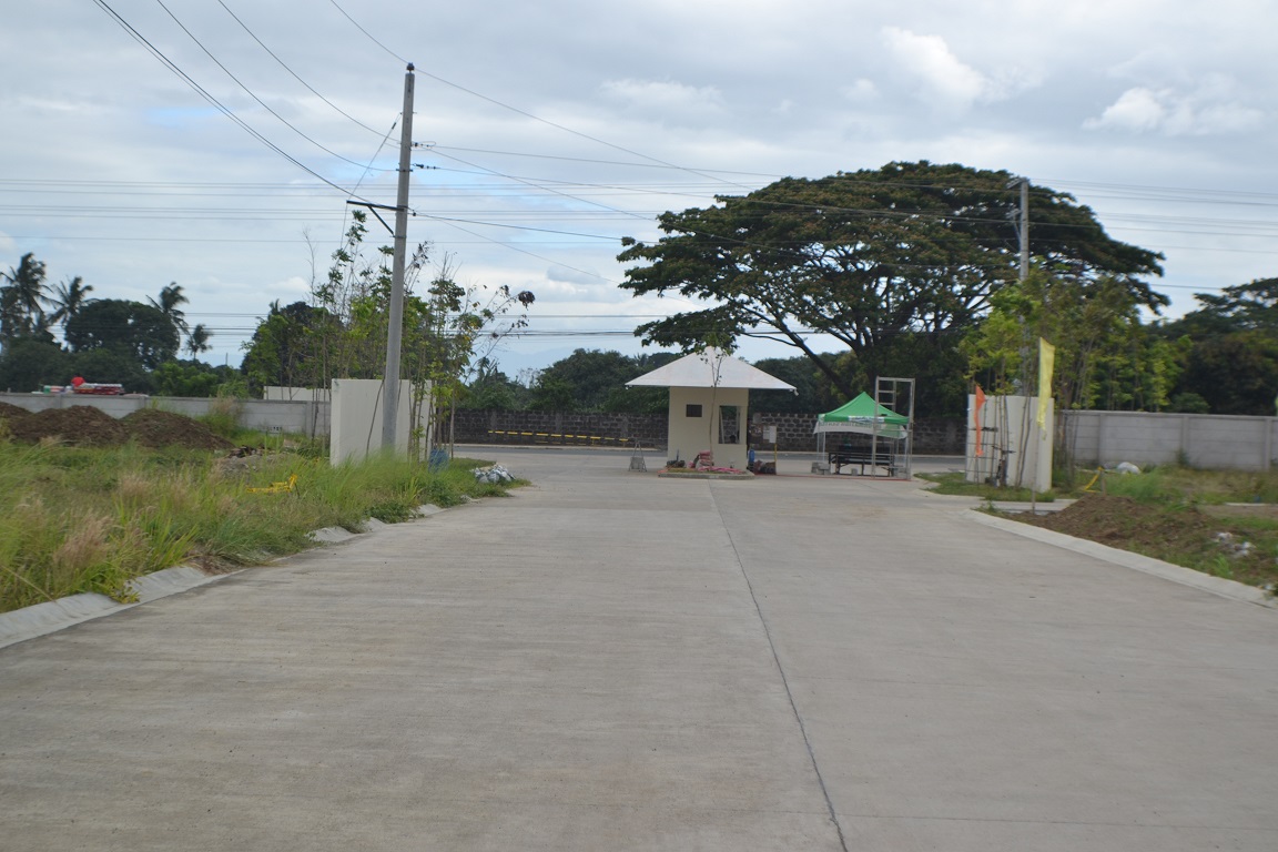 dsc 0049